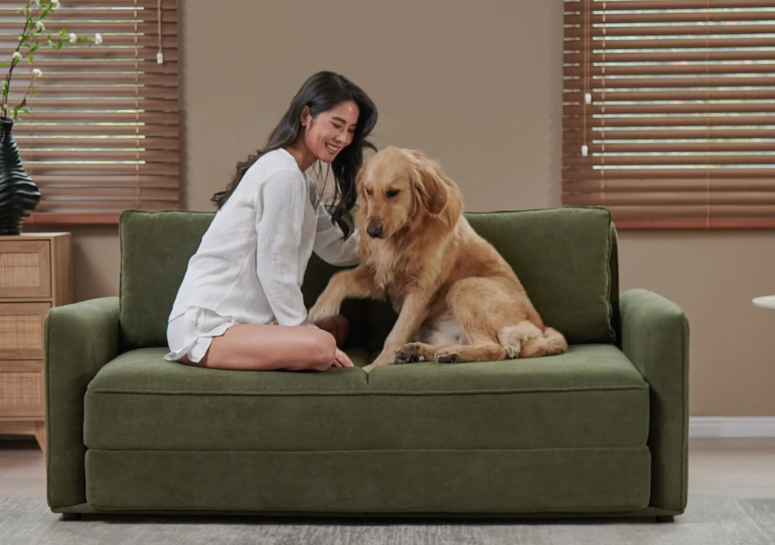Woman and golden retriever on anti-scratch green sofa with wooden blinds and natural light