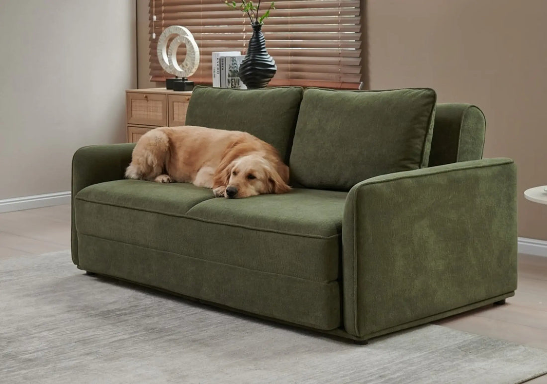 Luxuriously comfortable green sofa with golden retriever resting on soft upholstery
